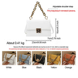 Back to College Thick Chain Women's Handbags Leather Flap Shoulder Bags for Women 2021 Luxury Brand Ladies Crossbody Bags Stone Pattern Purses