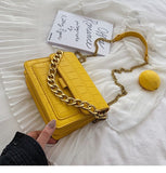 Vintage Fashion Square Tote Bag 2021 New Quality Leather Women's Designer Handbag Crocodile Pattern Chain Shoulder Messenger Bag