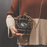 Christmas Gift Women's Birdcage Evening Bag Clutch Metal Frame Embroidery Bucket Bird Cage Mini Bag Purse Women Gold Tassel Handbag