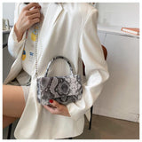 Christmas Gift Crocodile Pattern Handbag Women's 2021 Summer Fashion Small Square Bag Single Chain Shoulder Bag High Quality Messenger Bag